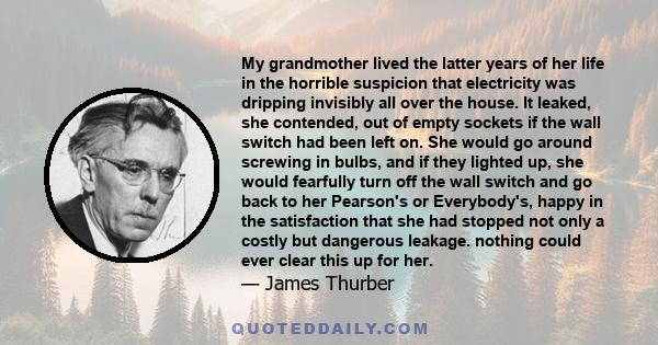 My grandmother lived the latter years of her life in the horrible suspicion that electricity was dripping invisibly all over the house. It leaked, she contended, out of empty sockets if the wall switch had been left on. 