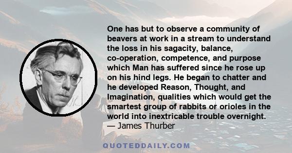 One has but to observe a community of beavers at work in a stream to understand the loss in his sagacity, balance, co-operation, competence, and purpose which Man has suffered since he rose up on his hind legs. He began 