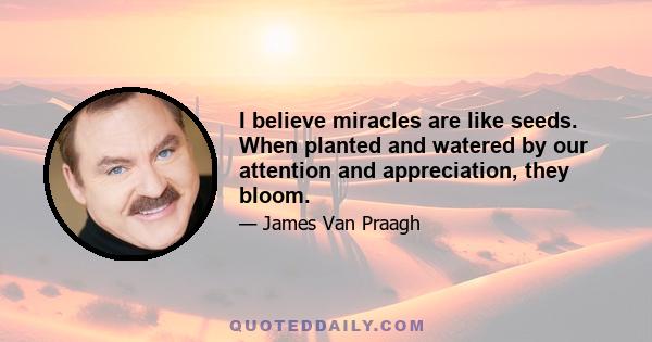 I believe miracles are like seeds. When planted and watered by our attention and appreciation, they bloom.