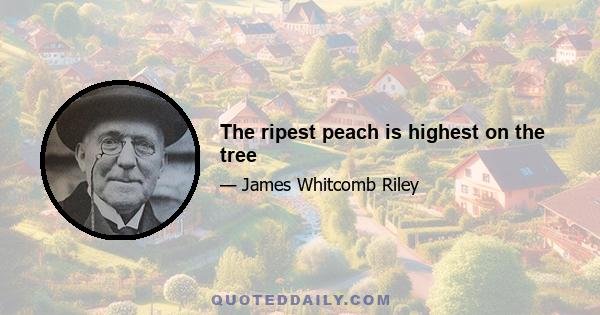 The ripest peach is highest on the tree