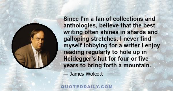 Since I'm a fan of collections and anthologies, believe that the best writing often shines in shards and galloping stretches, I never find myself lobbying for a writer I enjoy reading regularly to hole up in Heidegger's 