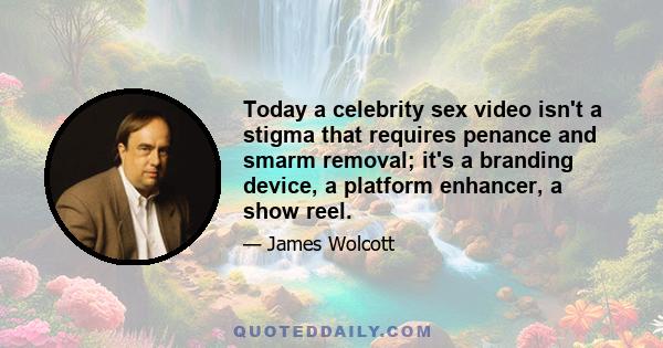 Today a celebrity sex video isn't a stigma that requires penance and smarm removal; it's a branding device, a platform enhancer, a show reel.