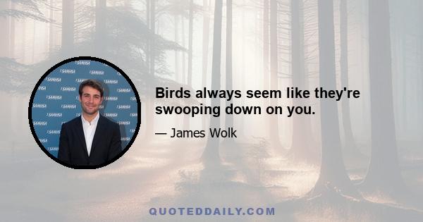 Birds always seem like they're swooping down on you.