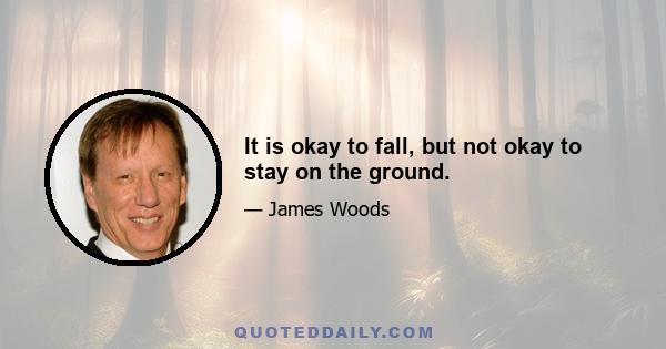 It is okay to fall, but not okay to stay on the ground.