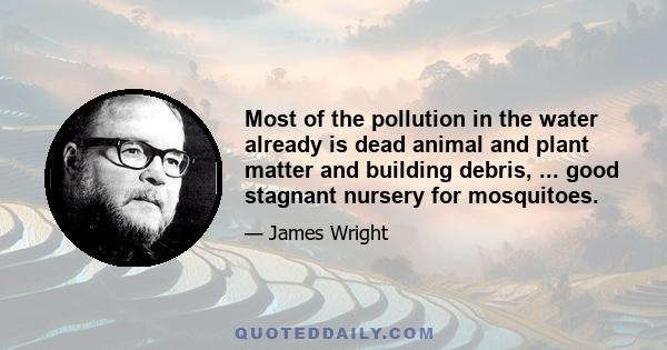 Most of the pollution in the water already is dead animal and plant matter and building debris, ... good stagnant nursery for mosquitoes.