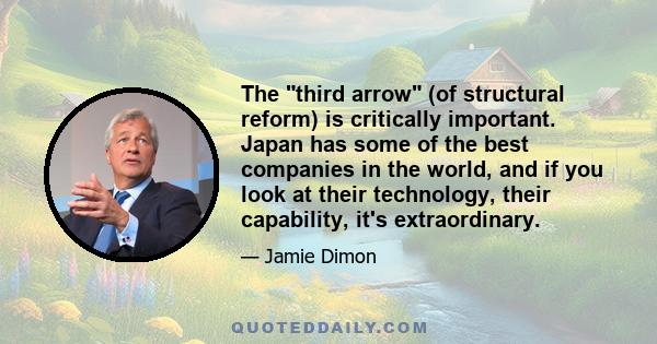 The third arrow (of structural reform) is critically important. Japan has some of the best companies in the world, and if you look at their technology, their capability, it's extraordinary.