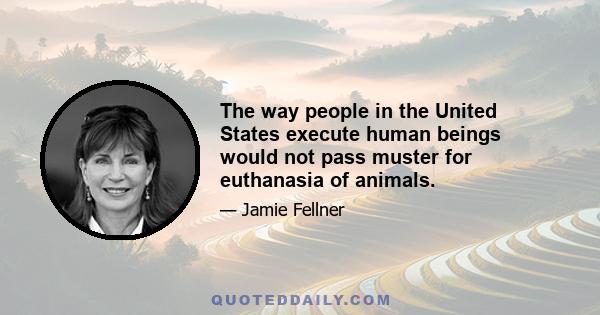 The way people in the United States execute human beings would not pass muster for euthanasia of animals.