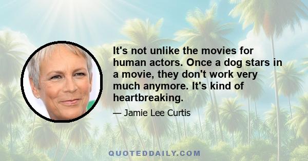It's not unlike the movies for human actors. Once a dog stars in a movie, they don't work very much anymore. It's kind of heartbreaking.