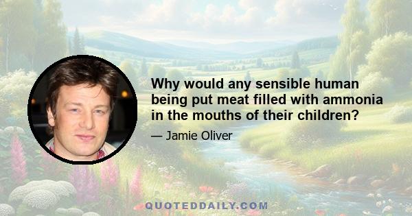 Why would any sensible human being put meat filled with ammonia in the mouths of their children?