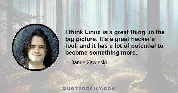 I think Linux is a great thing, in the big picture. It's a great hacker's tool, and it has a lot of potential to become something more.