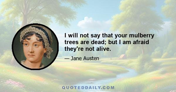 I will not say that your mulberry trees are dead; but I am afraid they're not alive.