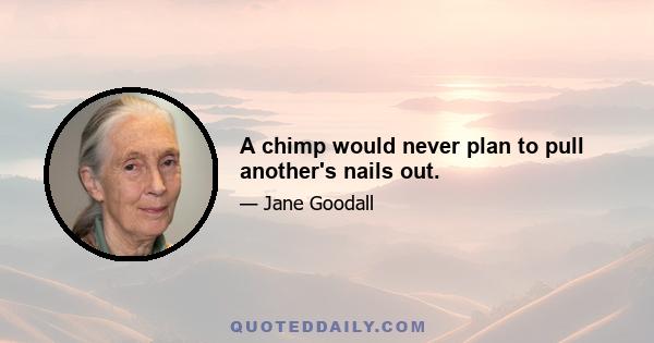 A chimp would never plan to pull another's nails out.