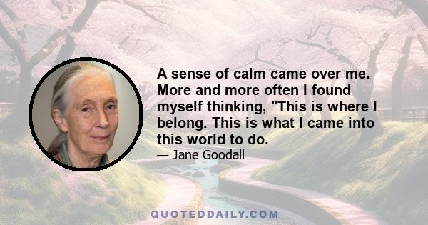 A sense of calm came over me. More and more often I found myself thinking, This is where I belong. This is what I came into this world to do.