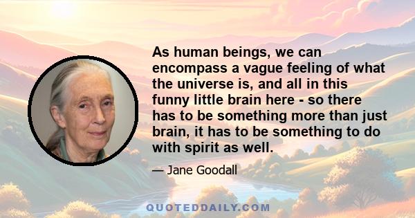 As human beings, we can encompass a vague feeling of what the universe is, and all in this funny little brain here - so there has to be something more than just brain, it has to be something to do with spirit as well.