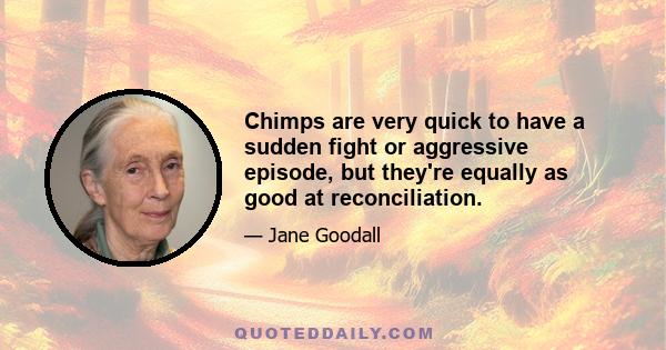 Chimps are very quick to have a sudden fight or aggressive episode, but they're equally as good at reconciliation.