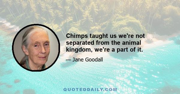 Chimps taught us we're not separated from the animal kingdom, we're a part of it.