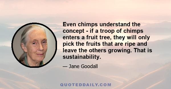 Even chimps understand the concept - if a troop of chimps enters a fruit tree, they will only pick the fruits that are ripe and leave the others growing. That is sustainability.