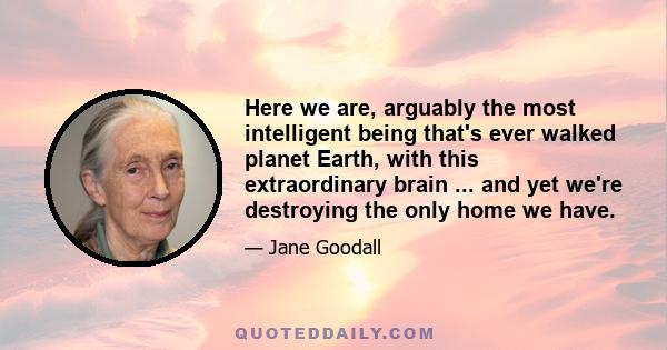 Here we are, arguably the most intelligent being that's ever walked planet Earth, with this extraordinary brain ... and yet we're destroying the only home we have.