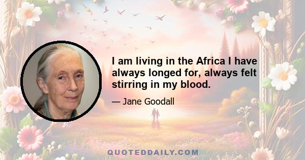 I am living in the Africa I have always longed for, always felt stirring in my blood.