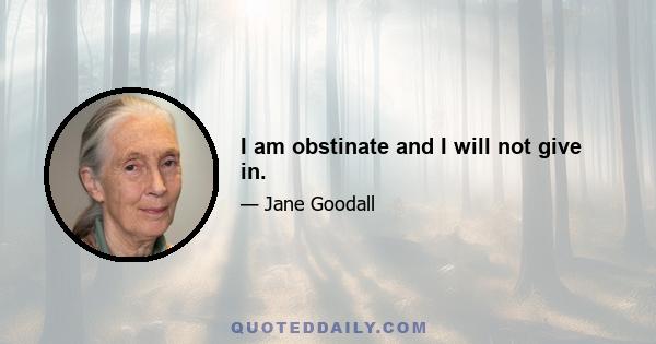 I am obstinate and I will not give in.