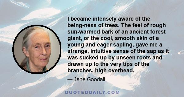 I became intensely aware of the being-ness of trees. The feel of rough sun-warmed bark of an ancient forest giant, or the cool, smooth skin of a young and eager sapling, gave me a strange, intuitive sense of the sap as