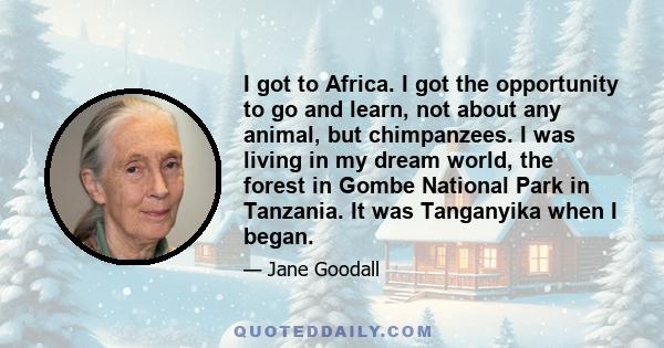 I got to Africa. I got the opportunity to go and learn, not about any animal, but chimpanzees. I was living in my dream world, the forest in Gombe National Park in Tanzania. It was Tanganyika when I began.