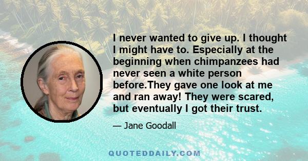 I never wanted to give up. I thought I might have to. Especially at the beginning when chimpanzees had never seen a white person before.They gave one look at me and ran away! They were scared, but eventually I got their 