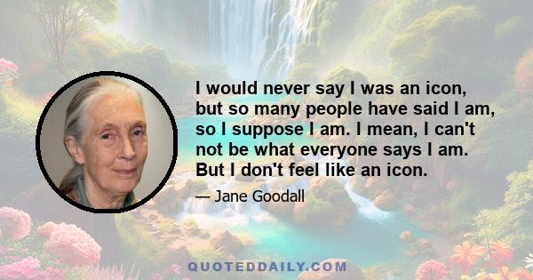 I would never say I was an icon, but so many people have said I am, so I suppose I am. I mean, I can't not be what everyone says I am. But I don't feel like an icon.