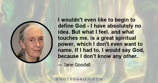 I wouldn't even like to begin to define God - I have absolutely no idea. But what I feel, and what touches me, is a great spiritual power, which I don't even want to name. If I had to, I would say God, because I don't