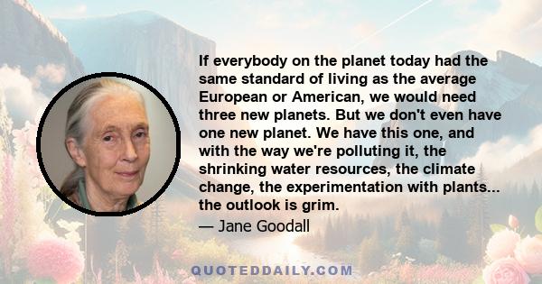 If everybody on the planet today had the same standard of living as the average European or American, we would need three new planets. But we don't even have one new planet. We have this one, and with the way we're