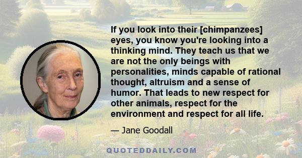 If you look into their [chimpanzees] eyes, you know you're looking into a thinking mind. They teach us that we are not the only beings with personalities, minds capable of rational thought, altruism and a sense of