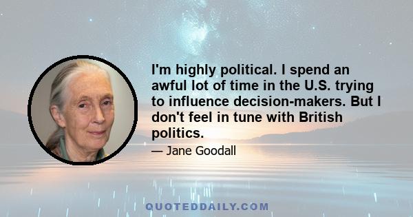 I'm highly political. I spend an awful lot of time in the U.S. trying to influence decision-makers. But I don't feel in tune with British politics.