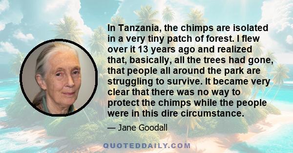 In Tanzania, the chimps are isolated in a very tiny patch of forest. I flew over it 13 years ago and realized that, basically, all the trees had gone, that people all around the park are struggling to survive. It became 