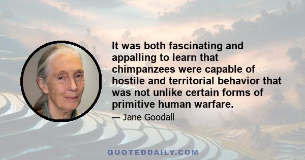 It was both fascinating and appalling to learn that chimpanzees were capable of hostile and territorial behavior that was not unlike certain forms of primitive human warfare.