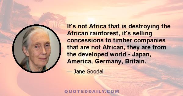 It's not Africa that is destroying the African rainforest, it's selling concessions to timber companies that are not African, they are from the developed world - Japan, America, Germany, Britain.