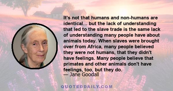 It's not that humans and non-humans are identical... but the lack of understanding that led to the slave trade is the same lack of understanding many people have about animals today. When slaves were brought over from