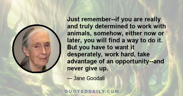 Just remember--if you are really and truly determined to work with animals, somehow, either now or later, you will find a way to do it. But you have to want it desperately, work hard, take advantage of an