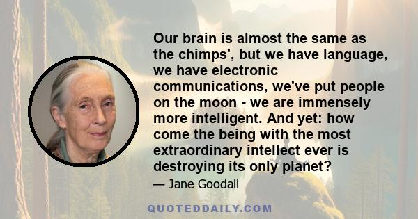 Our brain is almost the same as the chimps', but we have language, we have electronic communications, we've put people on the moon - we are immensely more intelligent. And yet: how come the being with the most