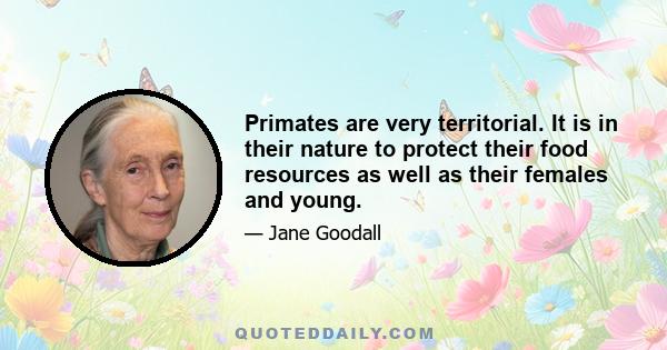 Primates are very territorial. It is in their nature to protect their food resources as well as their females and young.