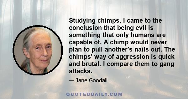 Studying chimps, I came to the conclusion that being evil is something that only humans are capable of. A chimp would never plan to pull another's nails out. The chimps' way of aggression is quick and brutal. I compare