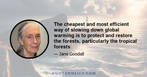 The cheapest and most efficient way of slowing down global warming is to protect and restore the forests, particularly the tropical forests