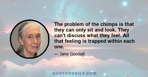 The problem of the chimps is that they can only sit and look. They can't discuss what they feel. All that feeling is trapped within each one.