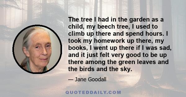 The tree I had in the garden as a child, my beech tree, I used to climb up there and spend hours. I took my homework up there, my books, I went up there if I was sad, and it just felt very good to be up there among the