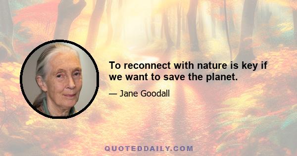 To reconnect with nature is key if we want to save the planet.