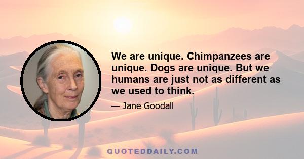 We are unique. Chimpanzees are unique. Dogs are unique. But we humans are just not as different as we used to think.