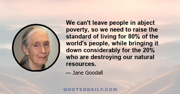 We can't leave people in abject poverty, so we need to raise the standard of living for 80% of the world's people, while bringing it down considerably for the 20% who are destroying our natural resources.