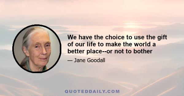 We have the choice to use the gift of our life to make the world a better place--or not to bother