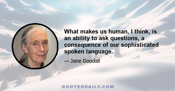 What makes us human, I think, is an ability to ask questions, a consequence of our sophisticated spoken language.