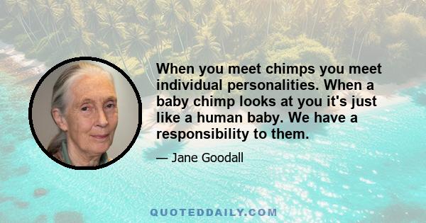 When you meet chimps you meet individual personalities. When a baby chimp looks at you it's just like a human baby. We have a responsibility to them.