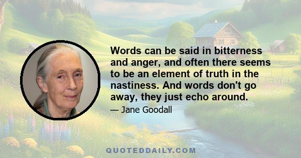 Words can be said in bitterness and anger, and often there seems to be an element of truth in the nastiness. And words don't go away, they just echo around.